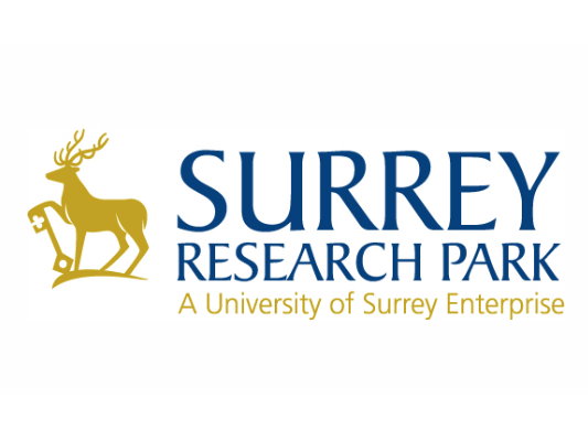 1 SURREY RESEARCH
