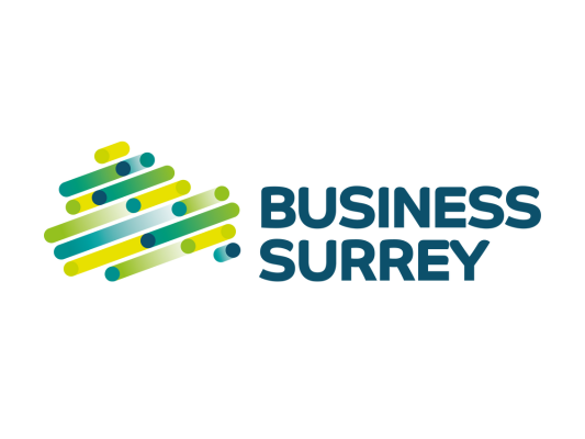 Surrey County Council logo   for website