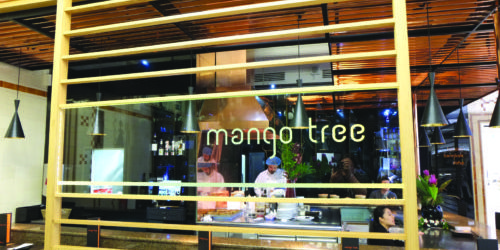TT REVIEW  Mango Tree 2 e1471300515124