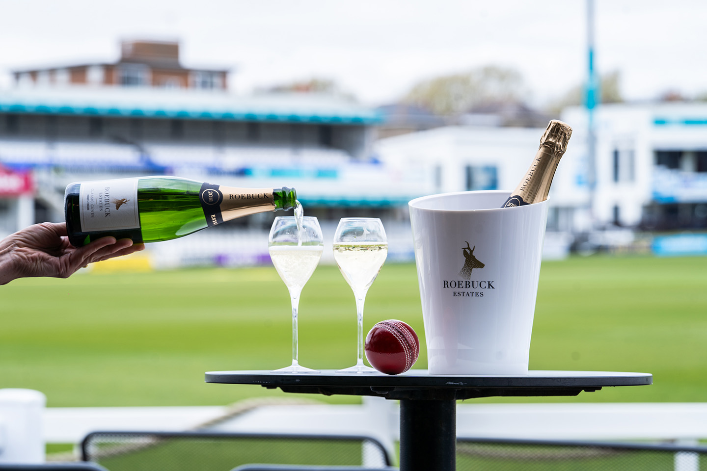 SUSSEX CRICKET Roebuck Estates partners with Sussex Cricket   24