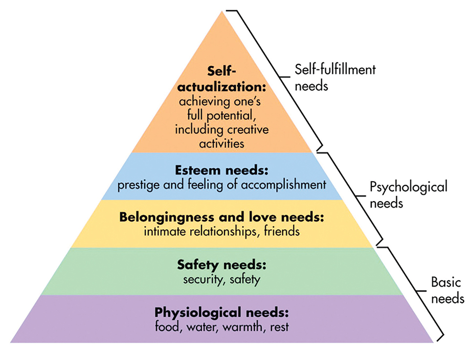 Fight Club Maslow rsquo s Hierarchy of Needs 