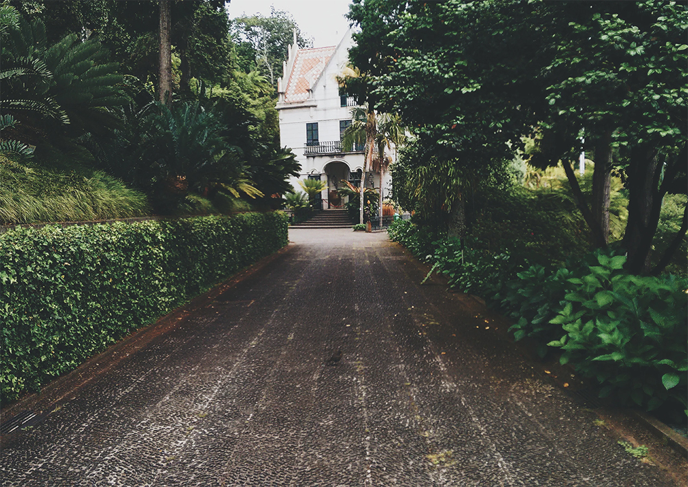 restrictive covenants 3