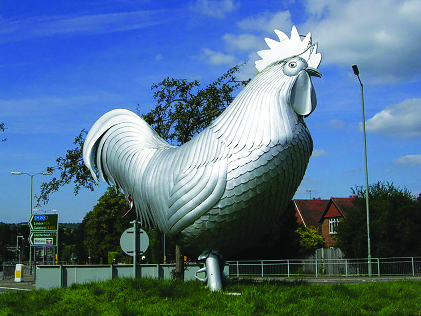 Dorking The Dorking Cockerel