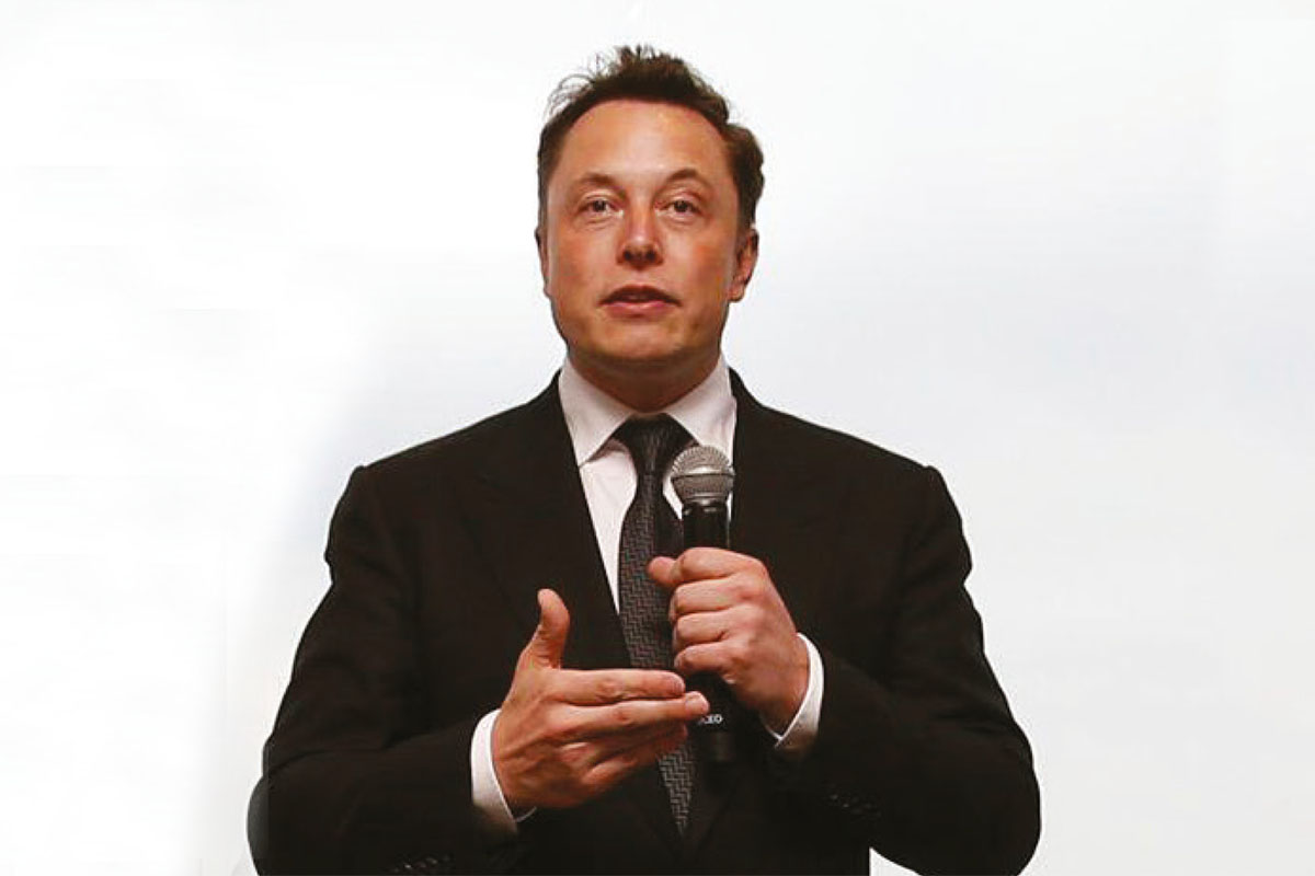Elon Musk WEB